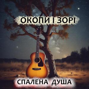 Зустріч (Український Шансон)