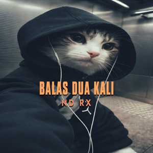 BALAS DUA KALI