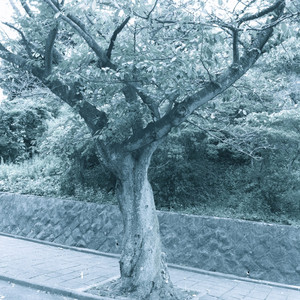 Rest