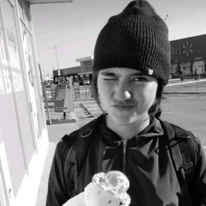 玩具 (Remastered 2024)