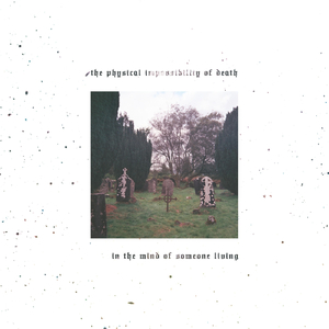 Lemme Give Your Heart a Break