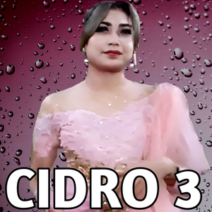 CiDRO 3