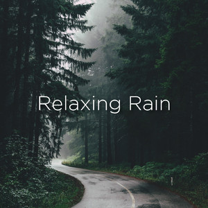 ASMR Rain Sounds