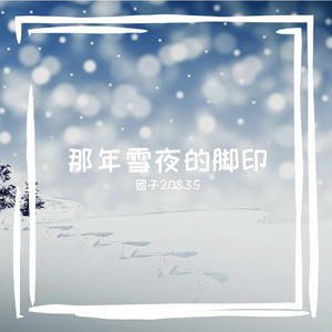 那年雪夜的脚印