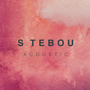 S tebou (feat. Jakub Děkan) [Acoustic]