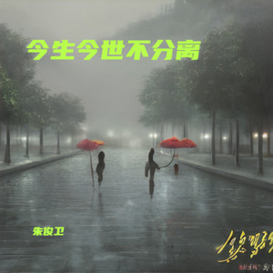 今生今世不分离 (DJ彭锐版)