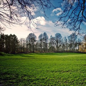 爱上你是一个错 (女生版)