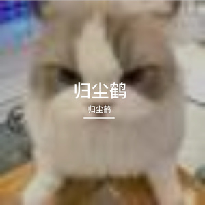 深海琴韵间的放空之旅