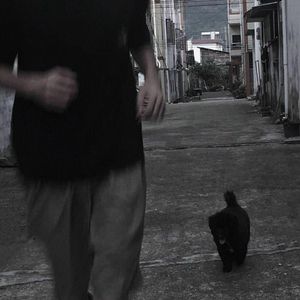 念念不忘（0.8）