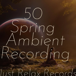 Zenith's Graceful Ascent