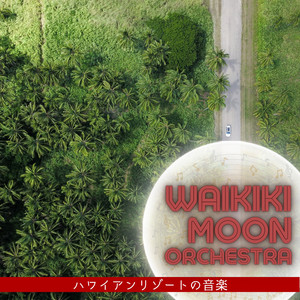 Climbing Coconut Tree