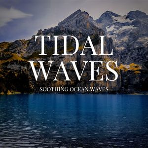 Morning Birds at Coniferous Forest