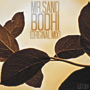 Bodhi (Original Mix)