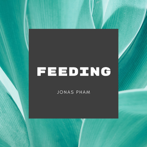 Feeding