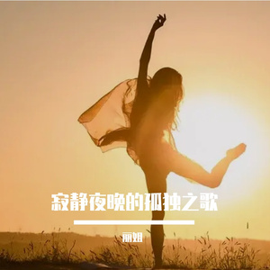 寂静夜晚的孤独之歌