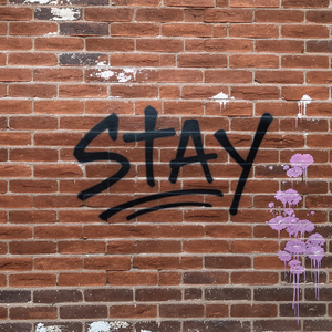 Stay