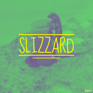 Slizzard