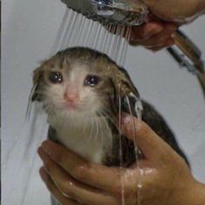 Birthday Song (sped up)