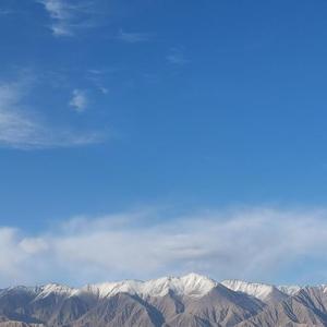 漂洋过海来看你