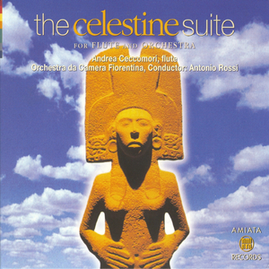 Vi Movement: Andante Mosso