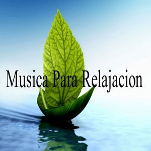 Musica para Concentrarse