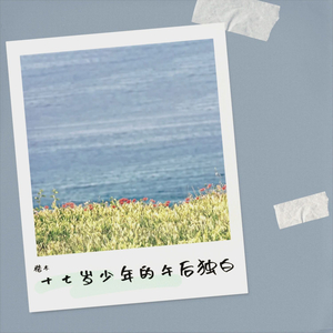 十七岁少年的午后独白