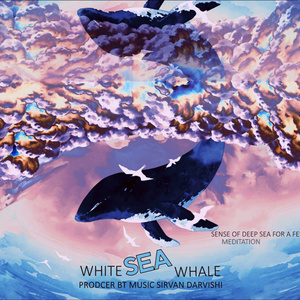 White Sea Whale