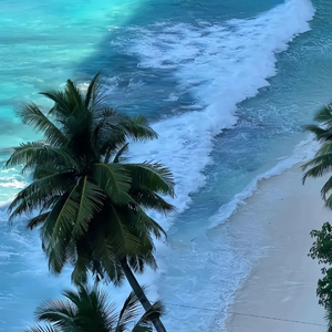 告别旧梦的微光