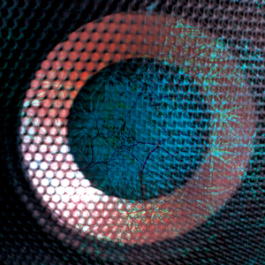 Dog & Pony Show (Original Mix)