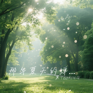 那年夏天的蝉鸣