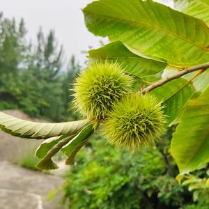 这一生关于你的风景