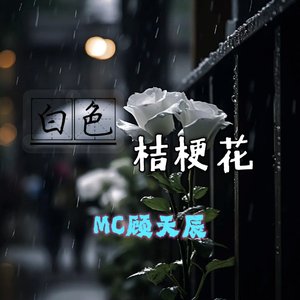 白色桔梗花