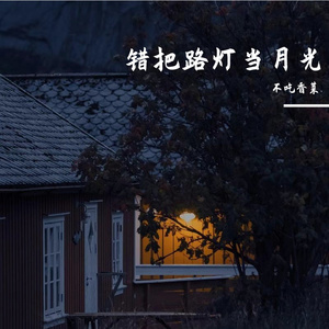 错把路灯当月光（翻自 尹昔眠）
