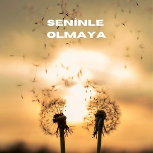 Seninle Olmaya