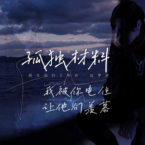 孤独材料 (我被你电住让他们羡慕)