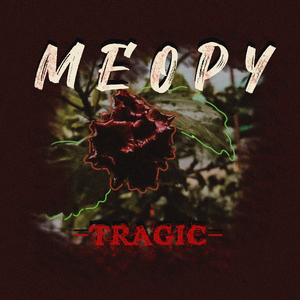 Let's Groove Tonight !