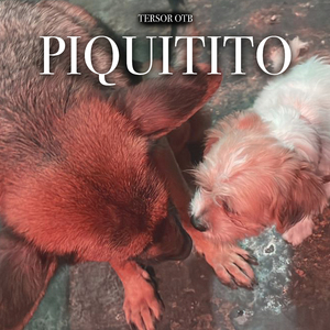 Piquito
