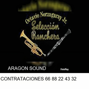 Laurita Garza (En Vivo)