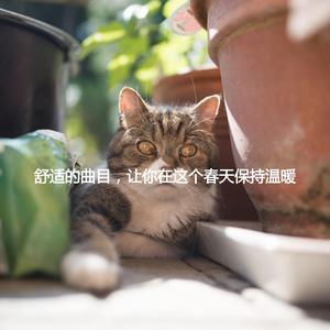 Paradise Like Moods for Finding Creativity Inside