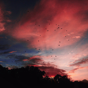 Дорогой мой бог