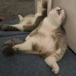 你在干嘛鸭 伴奏