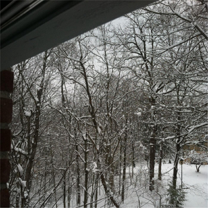 Thus (Single Version)