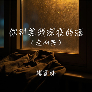 你别笑我深夜的酒(走心版)
