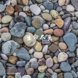 生命尽头 (Prod.DRP project)