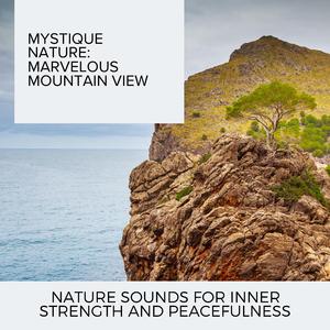 Underwater Ocean Animal