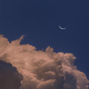 爱情码头 (翻自郑源)