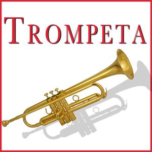 El Adios / Sueña La Margarita / Sevillanas Para Conquistar / A Bailar, A bailar