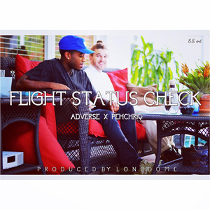 Flight Status Check