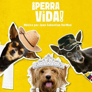 Percibir el peligro