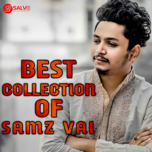 Best Of Samz Vai